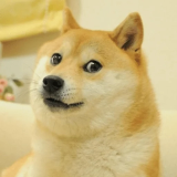 Stare  Discord sticker