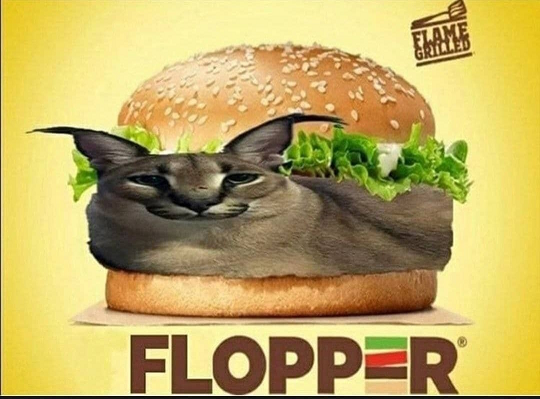 Flopper Discord sticker