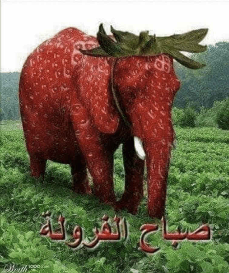 sba7 lfarawila Discord sticker