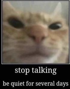 stop talking Discord sticker