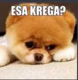 esa karegha Discord sticker