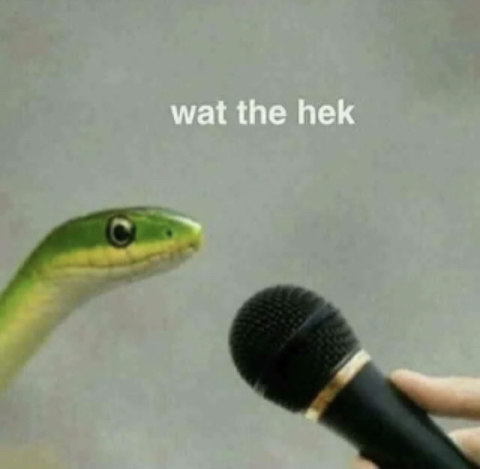 wat da hek Discord sticker