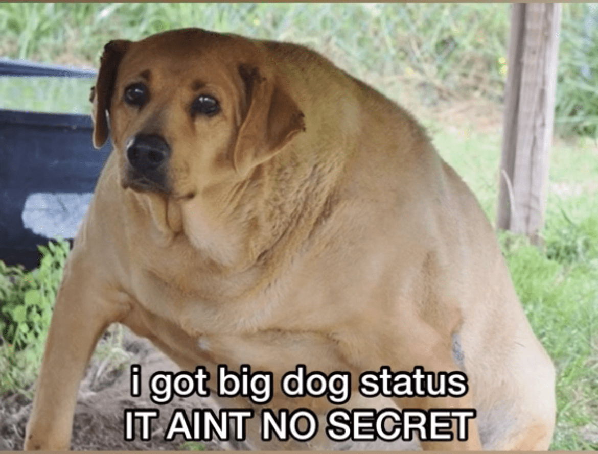 big dog status Discord sticker