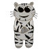 Grey Tiger Discord sticker