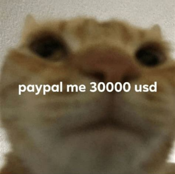 Paypal Me Discord sticker