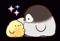 pat pat Discord sticker