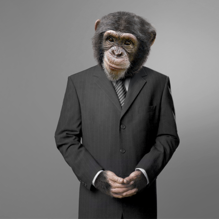 Business Monkey