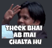 theek bhai Discord sticker