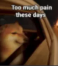 Too much pain Discord sticker