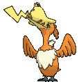 cramorant Discord sticker