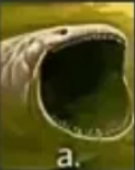 a. Discord sticker