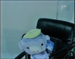 Wumpus_Cassi Discord sticker