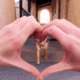 Shiba Heart Discord sticker