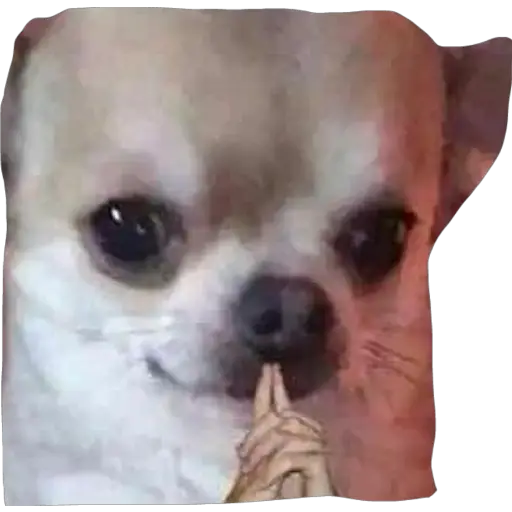 thinkintense Discord sticker
