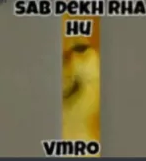 sab dekhrha hoon Discord sticker