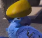 bonkBlu Discord sticker