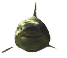 the real blockbuster Discord sticker