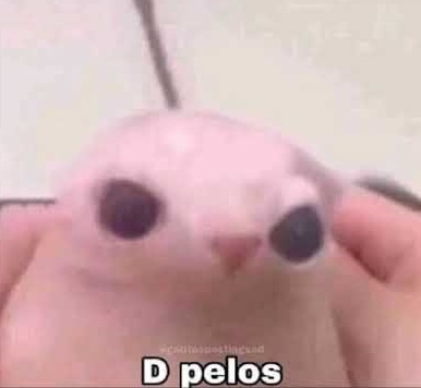 Dpelos  | .gg/programacion Discord sticker