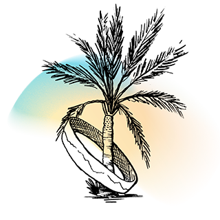 Coachella Palm Tree Discord sticker