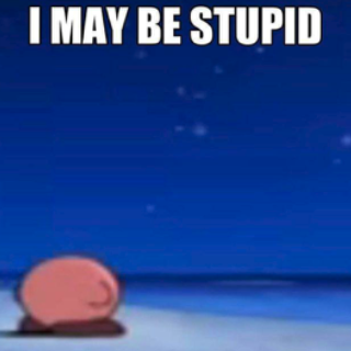 I'm Stupid