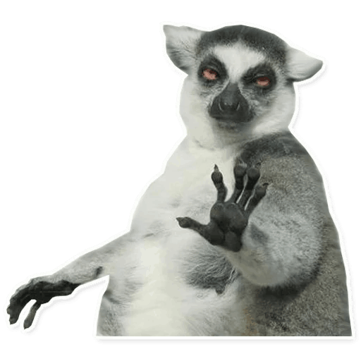 Stop Discord sticker