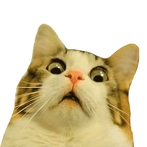 WTF Discord sticker