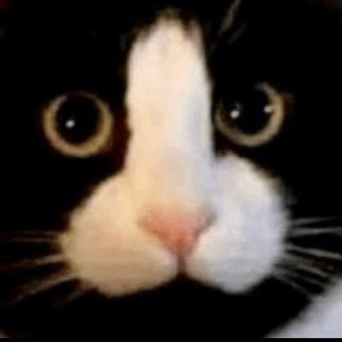confused stare Discord sticker