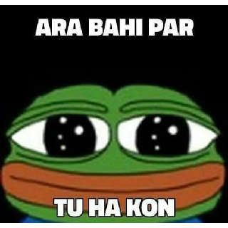 Ara Bhai Par Tu Hai Kon Discord sticker