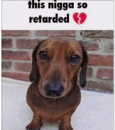 Retarded bitch Discord sticker