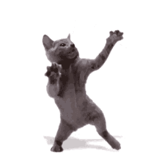 dance cat Discord sticker
