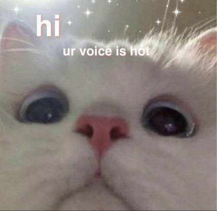 catflirt Discord sticker