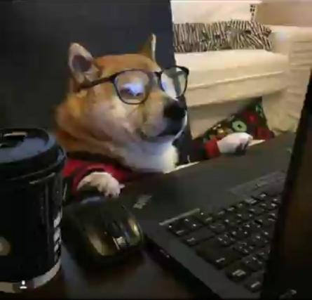 dogwork Discord sticker