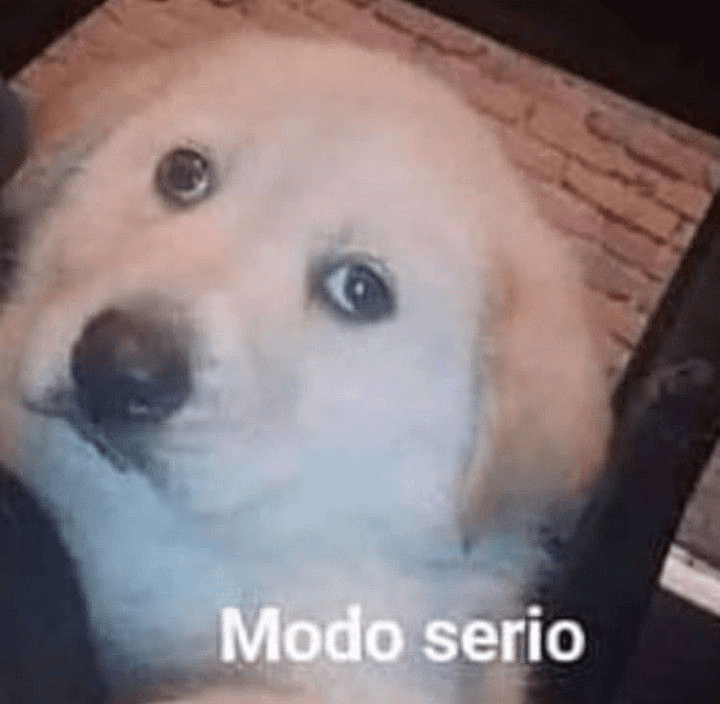 serio  | .gg/programacion Discord sticker