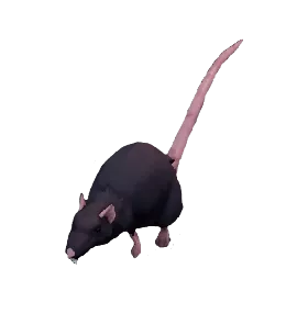 rat Discord sticker