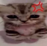 anger Discord sticker