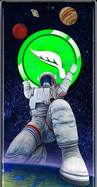 DMT to the moon Discord sticker