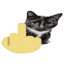 middlefingercat