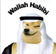 wallah habibi Discord sticker