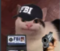 fbi  Discord sticker