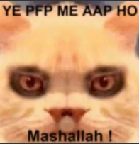 mashallah Discord sticker