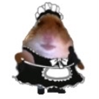 hamptermaidatyourservice Discord sticker