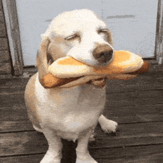 dog with dog Discord sticker