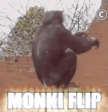 monki flip Discord sticker