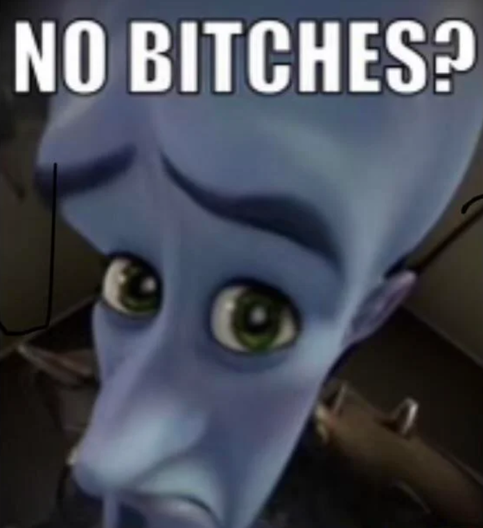 no bitches? Discord sticker