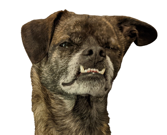 ugh Discord sticker