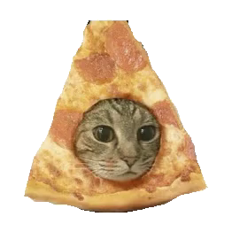 PizzaCat Discord sticker
