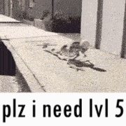 plz i need lvl 5 Discord sticker
