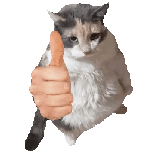 gatook Discord sticker