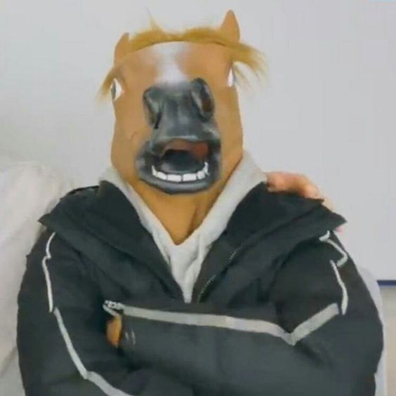 sk_Han_whatintheHorse