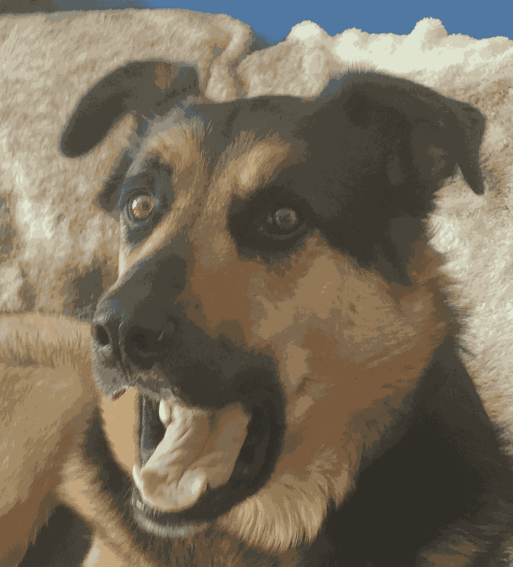 doggers Discord sticker